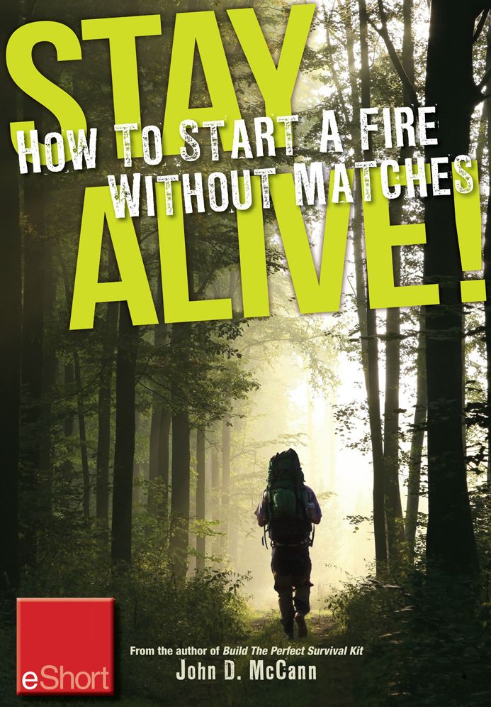 Stay Alive - How to Start a Fire without Matches eShort: Discover the best ways to start a fire for wilderness survival & emergency preparedness.