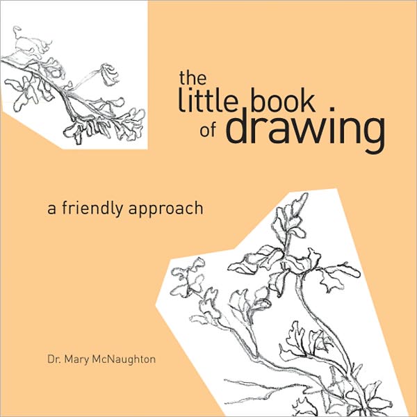 Little Book of Drawing: A Friendly Approach (PagePerfect NOOK Book)