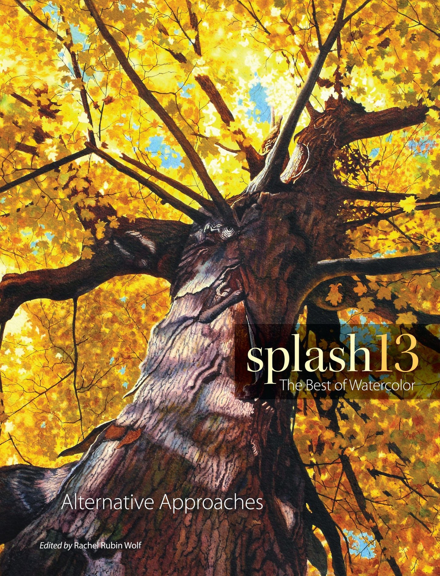 Splash 13: Alternative Approaches