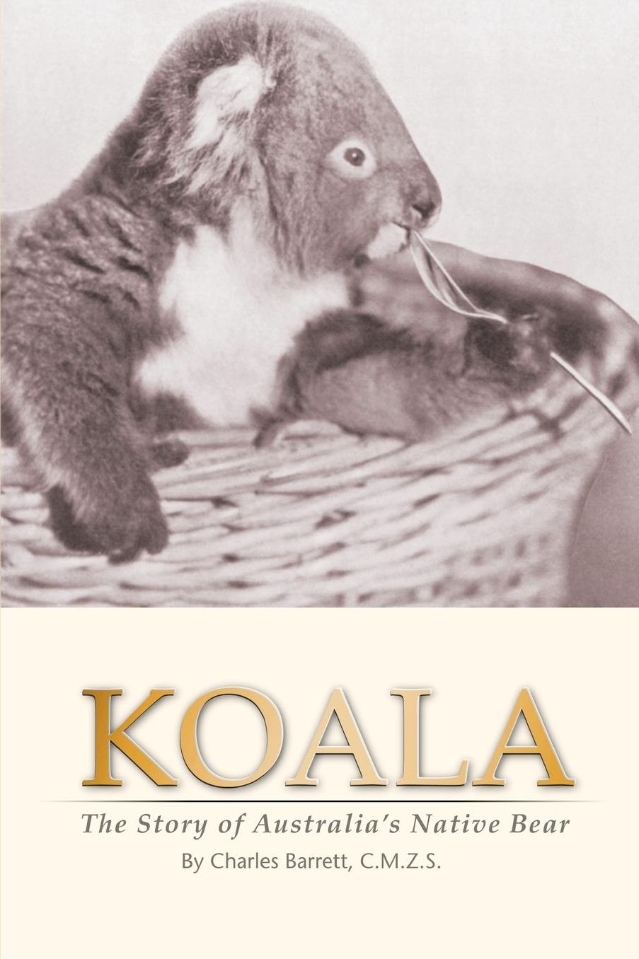 Koala: the Story of Australia's Native Bear