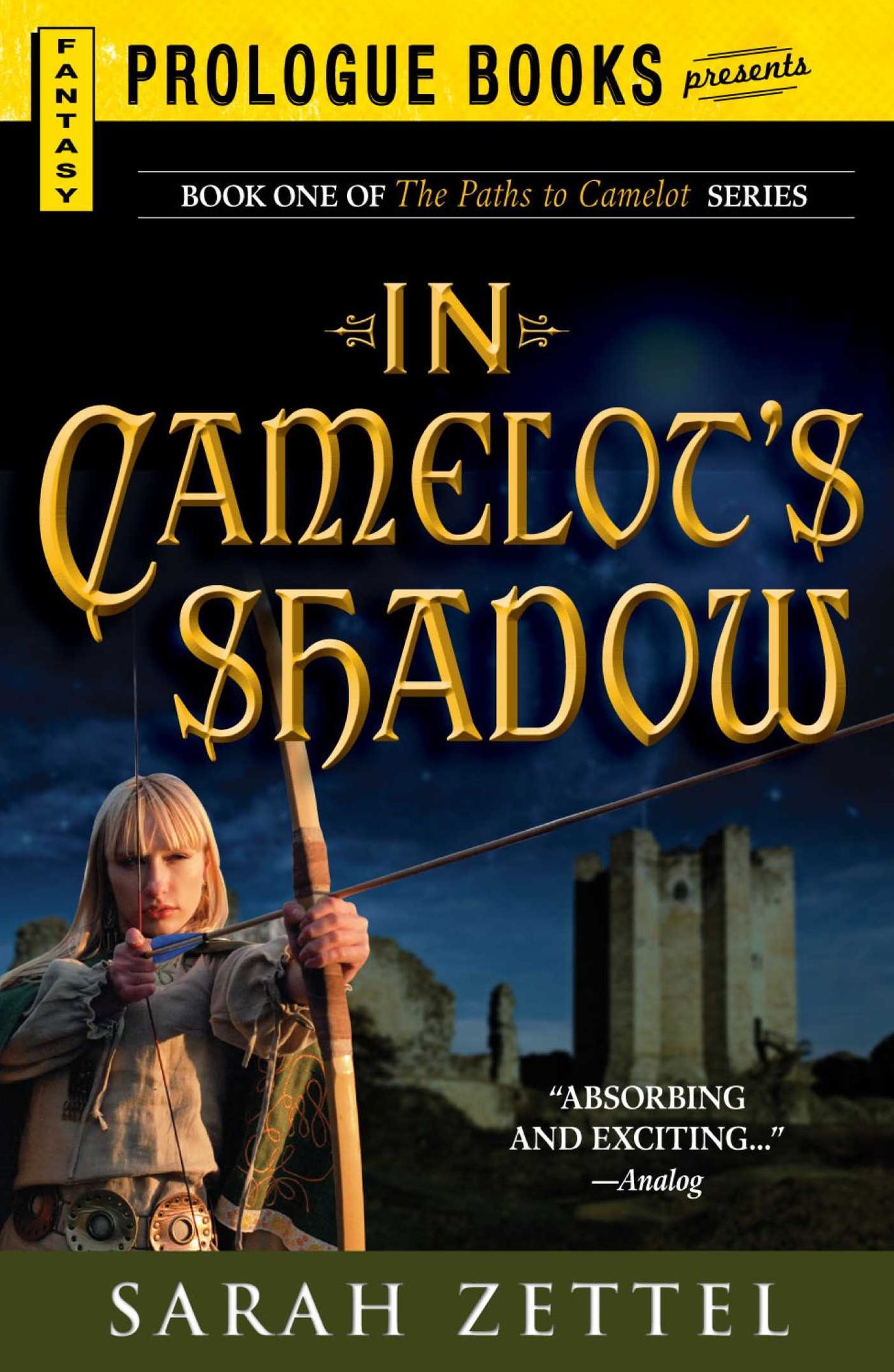 In Camelot's Shadow: Book One of The Paths to Camelot Series