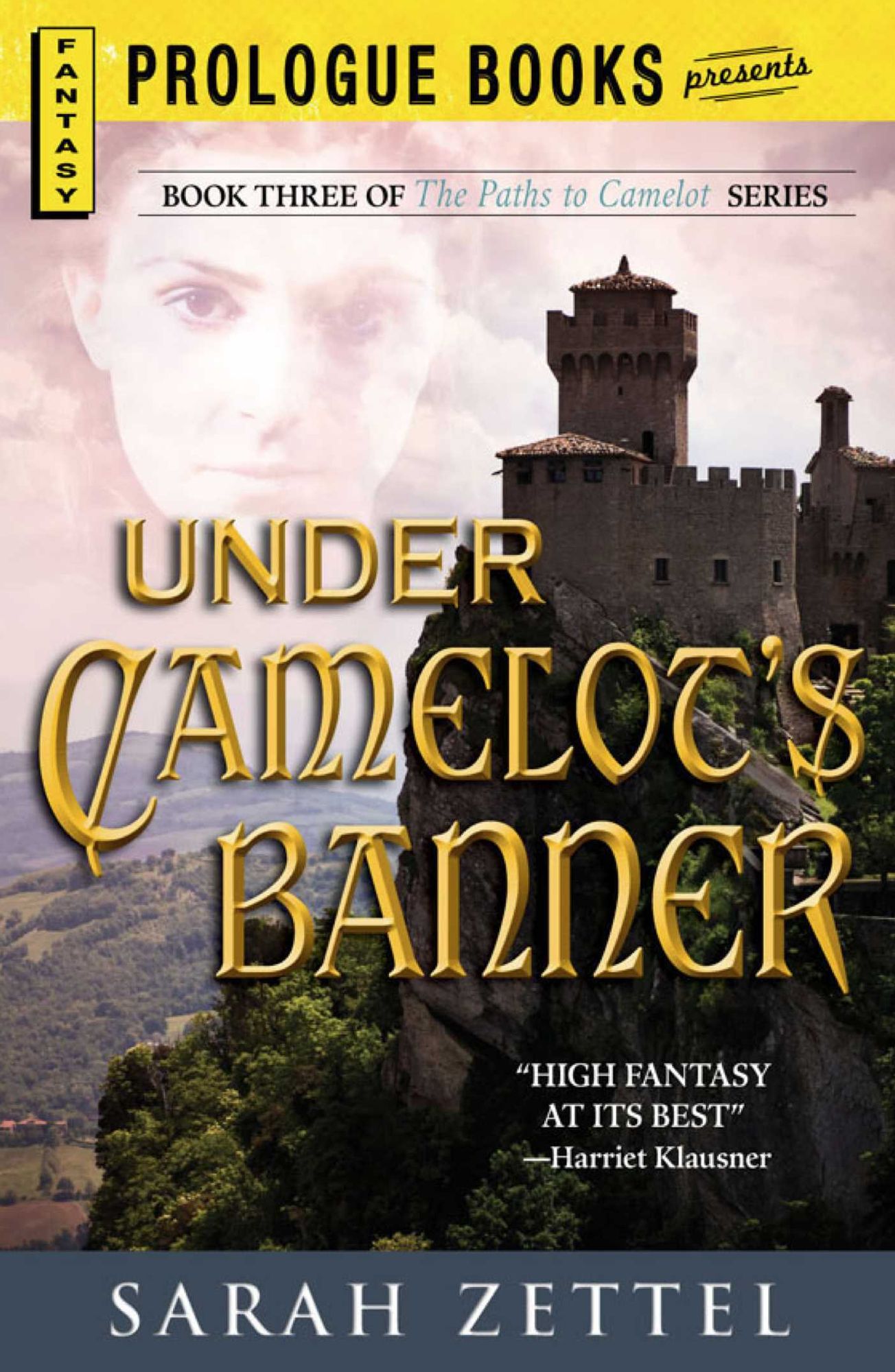Under Camelot's Banner: Book Three of The Paths to Camelot Series
