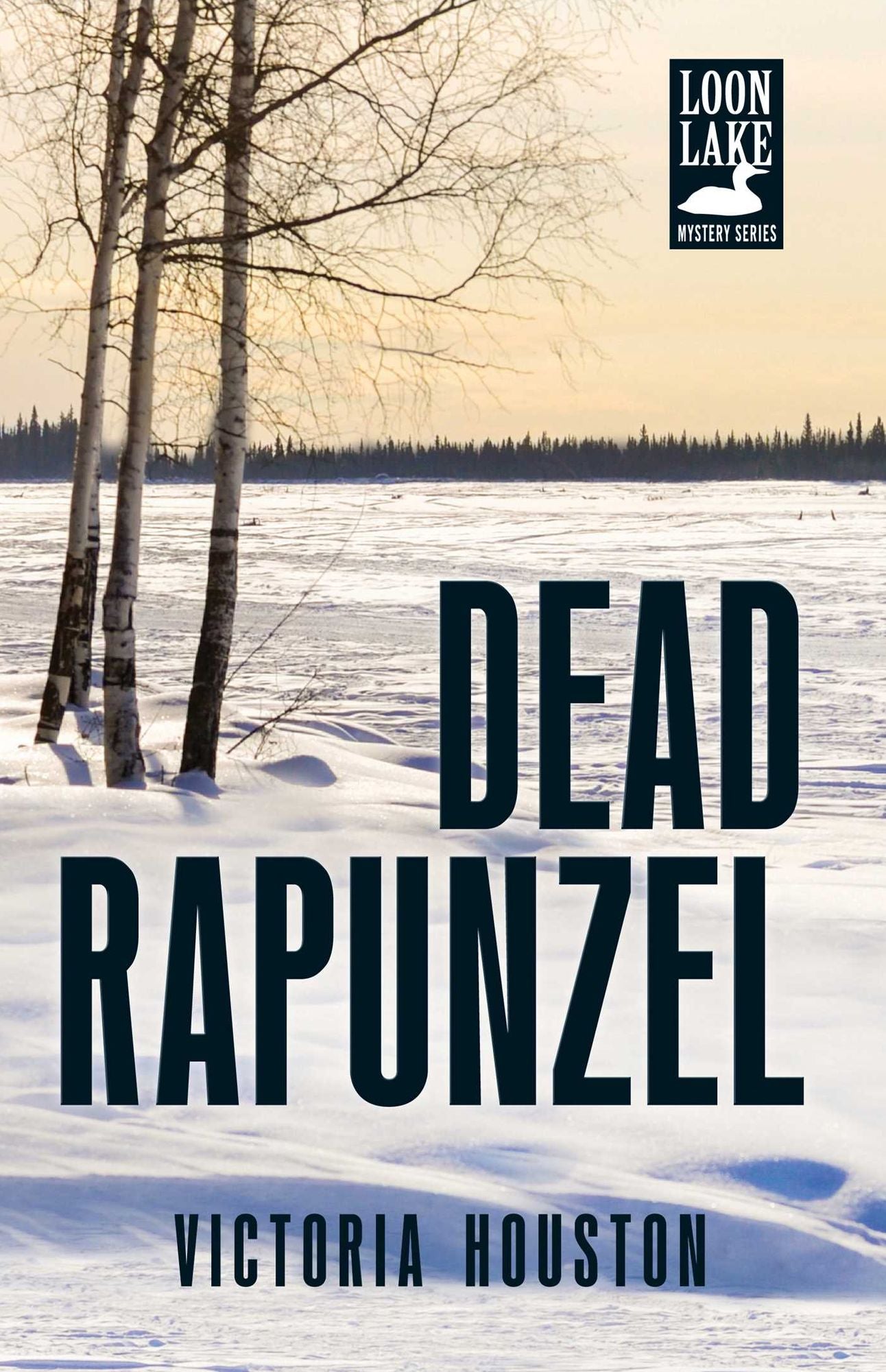 Dead Rapunzel (Loon Lake Fishing Mystery Series #15)