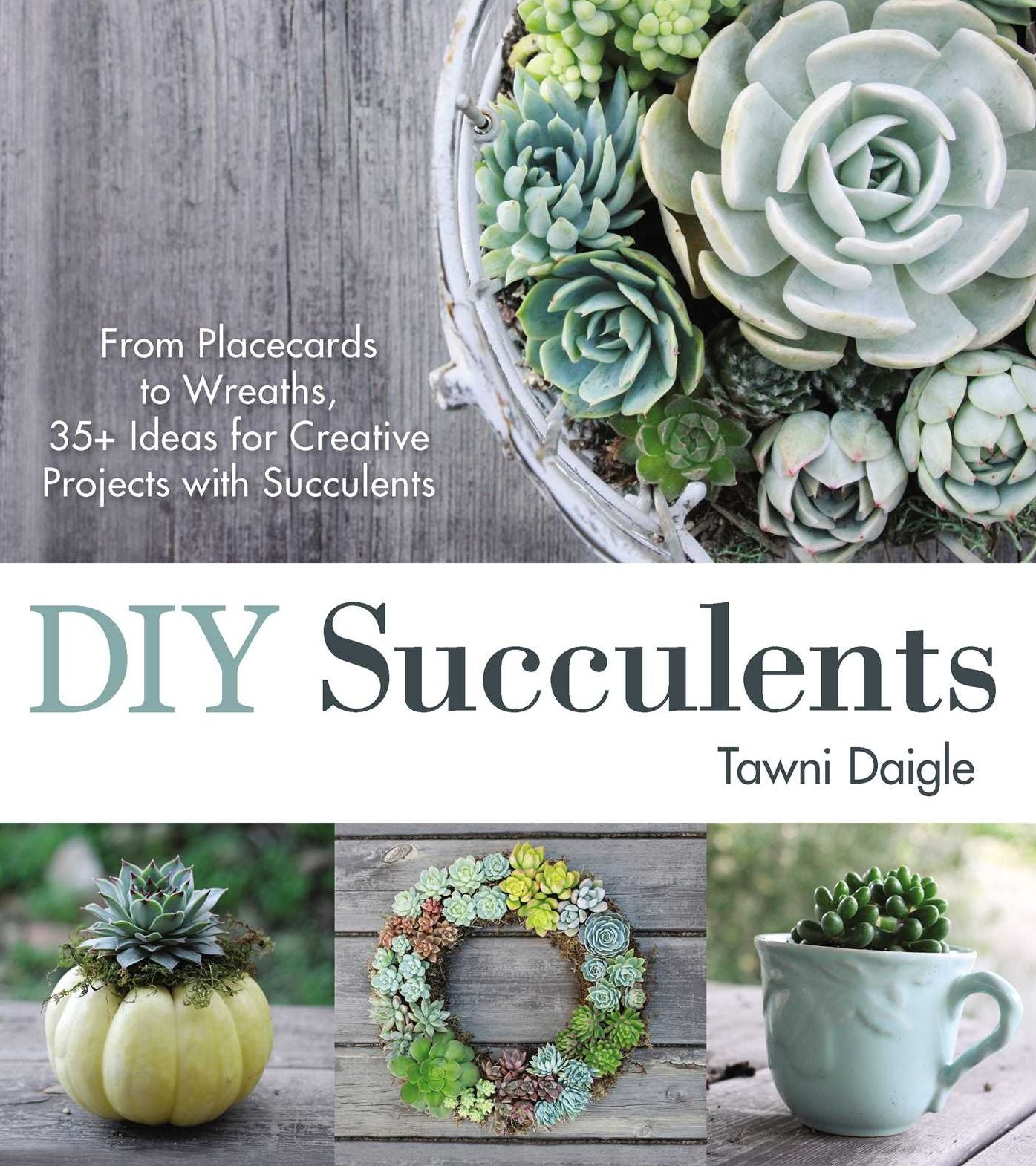 DIY Succulents: From Placecards to Wreaths, 35+ Ideas for Creative Projects with Succulents