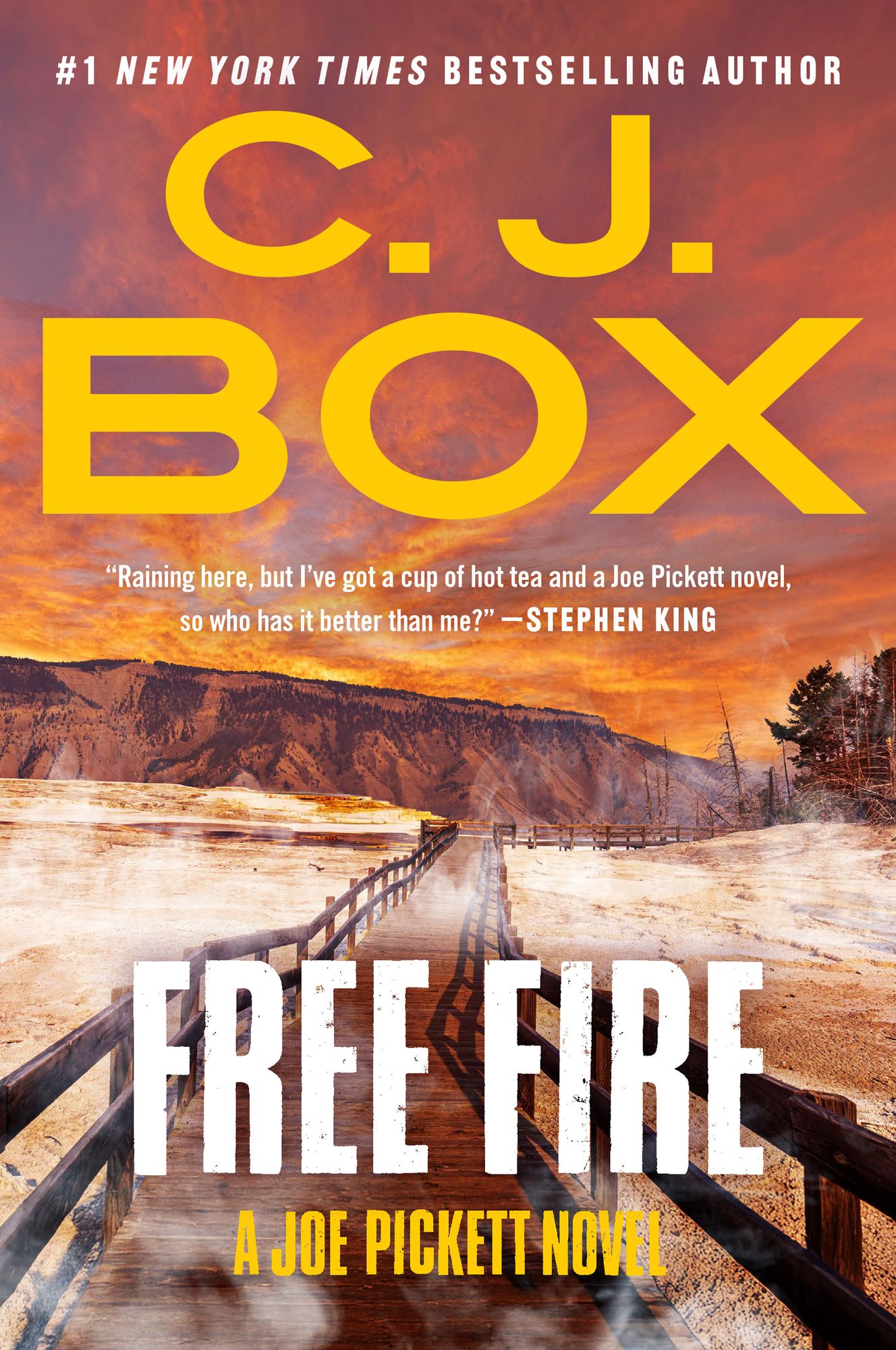 Free Fire (Joe Pickett Series #7)