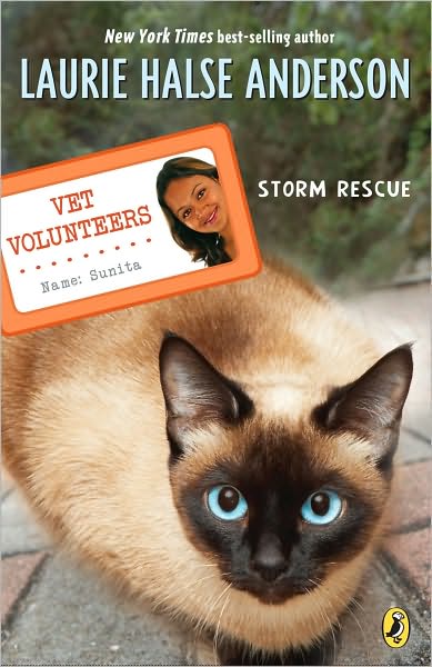 Storm Rescue (Vet Volunteers Series #6)