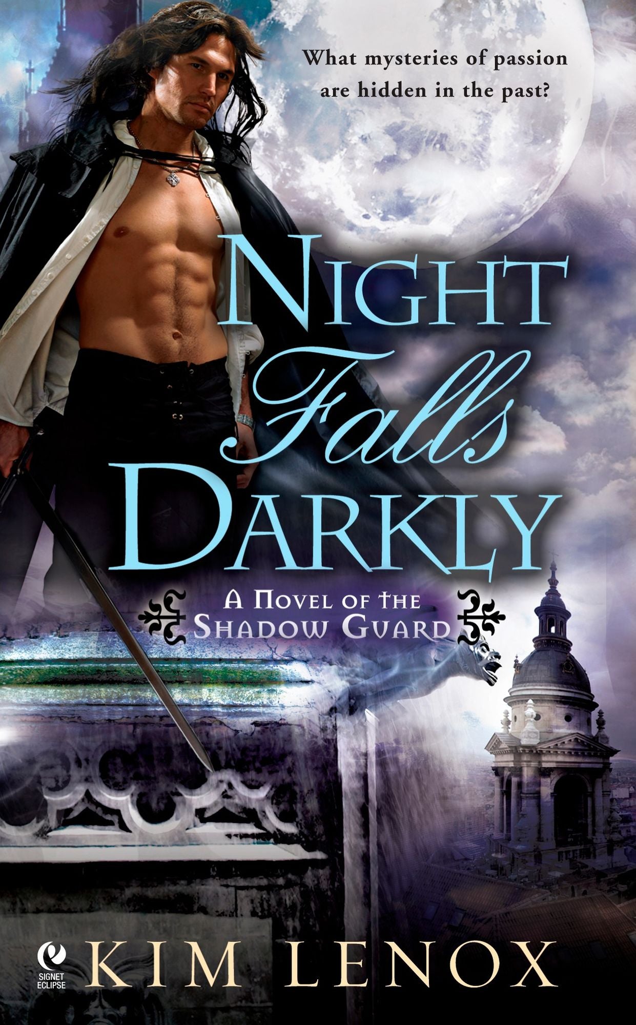Night Falls Darkly: A Novel of the Shadow Guard