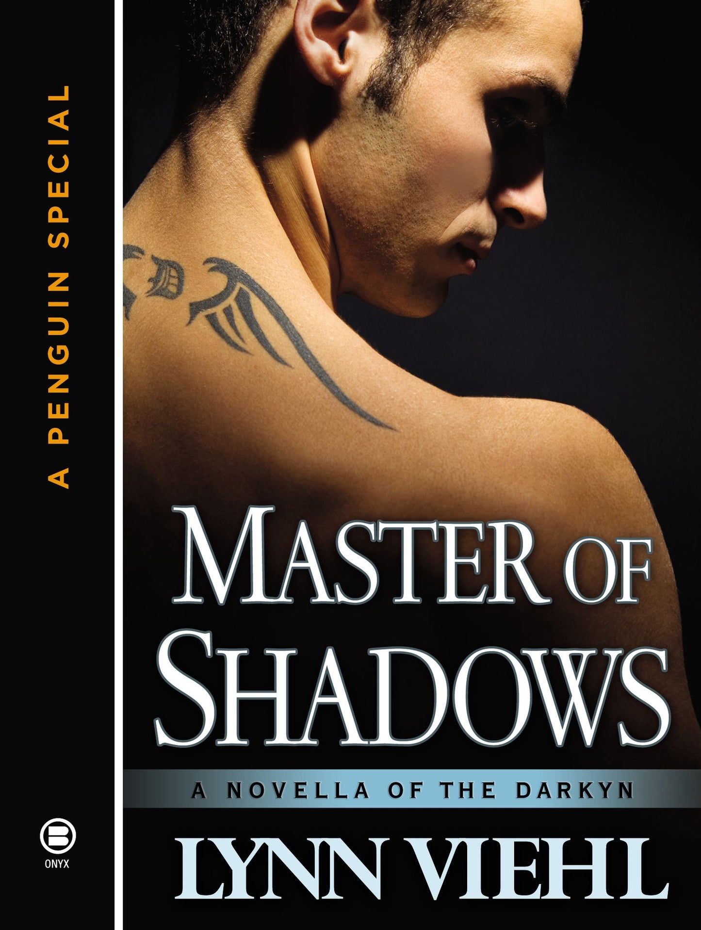 Master of Shadows: A Novella of the Darkyn