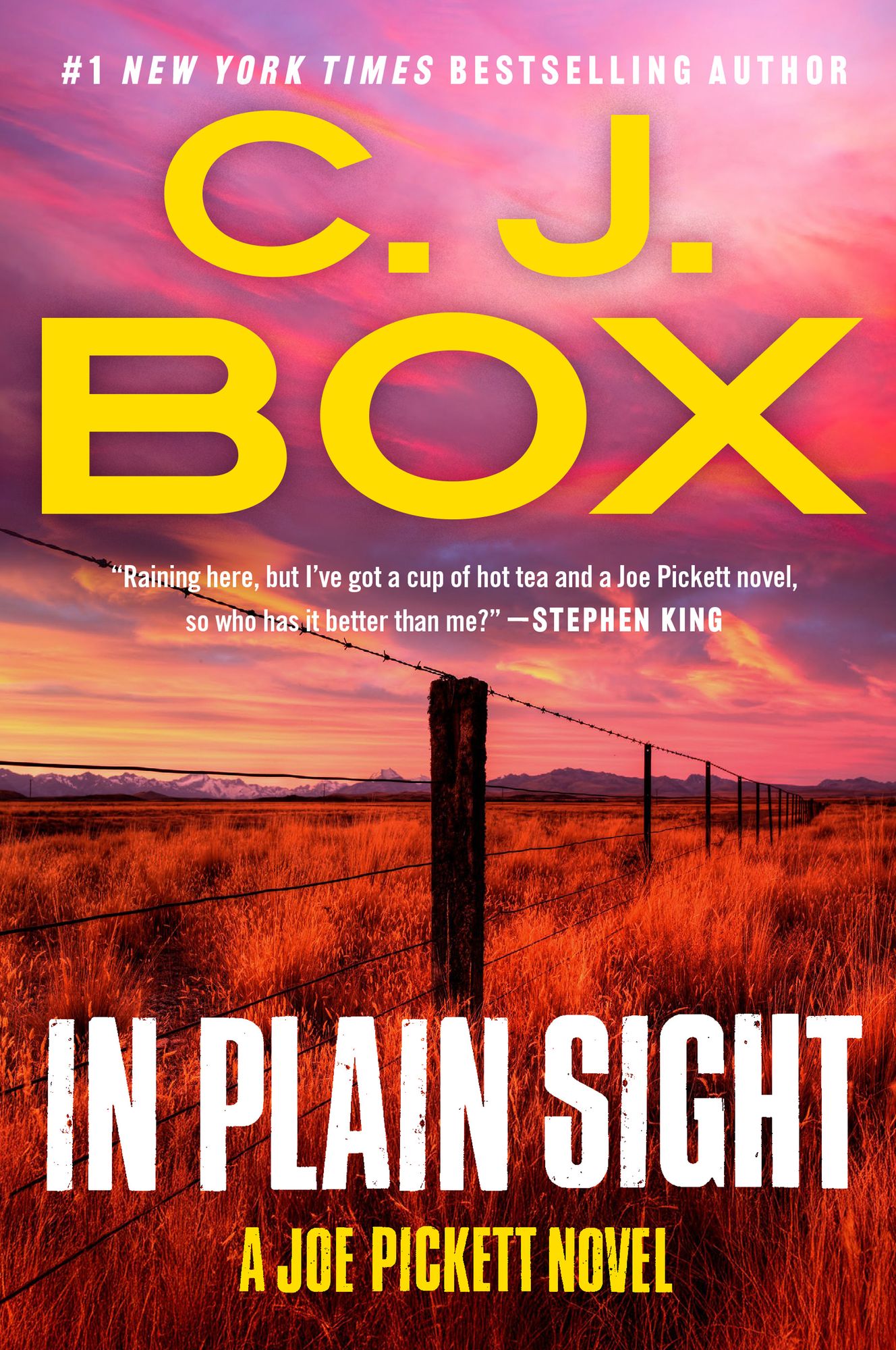 In Plain Sight (Joe Pickett Series #6)
