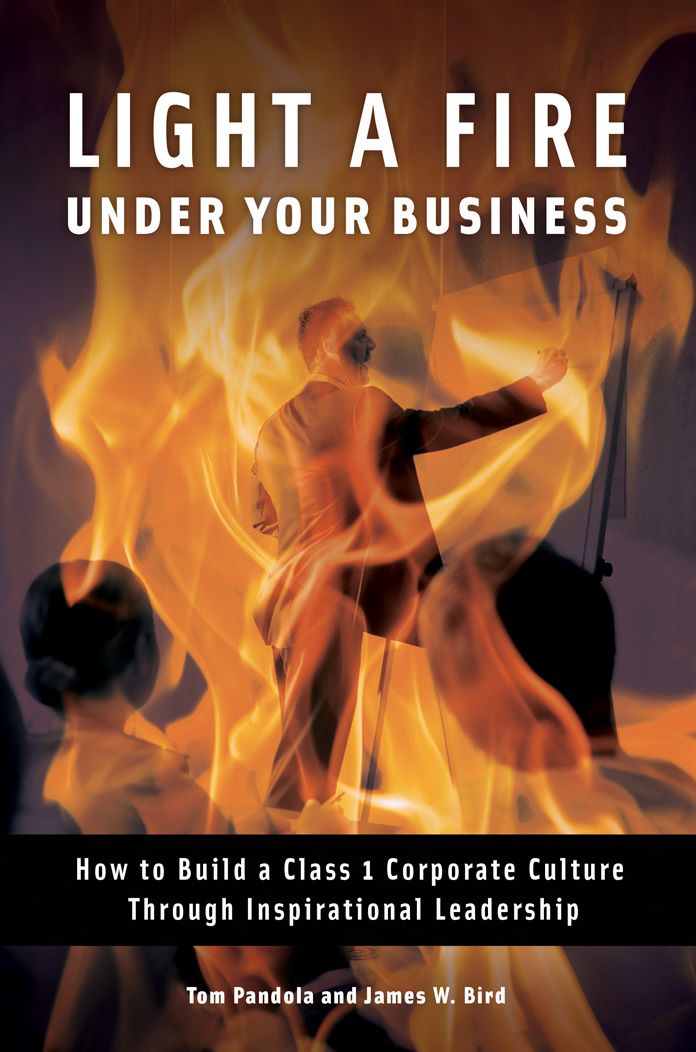Light a Fire Under Your Business: How to Build a Class 1 Corporate Culture Through Inspirational Leadership: How to Build a Class 1 Corporate Culture through Inspirational Leadership