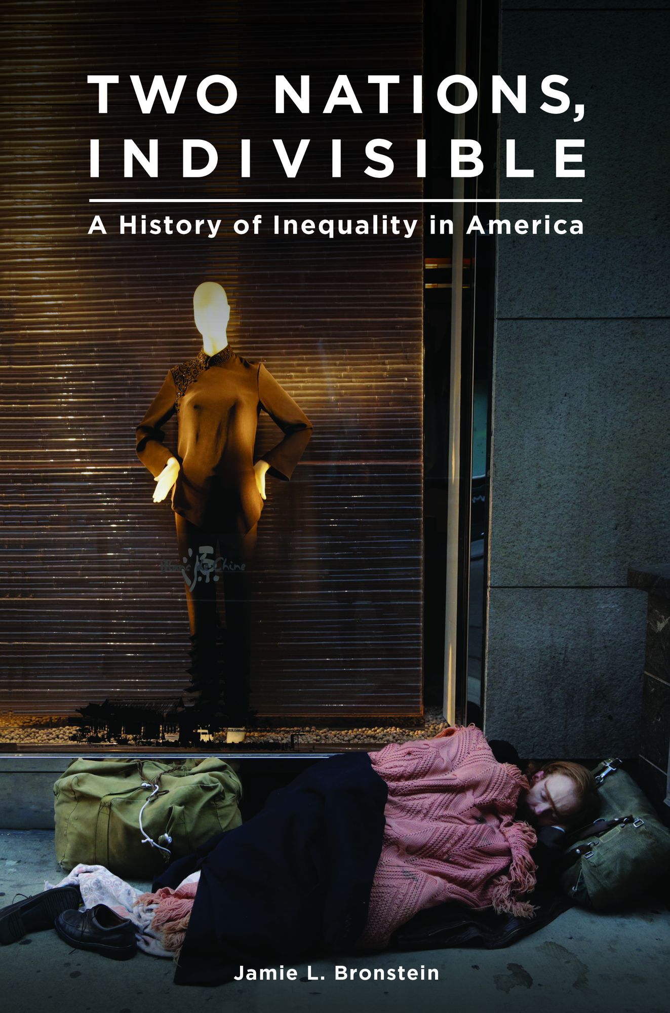 Two Nations, Indivisible: A History of Inequality in America