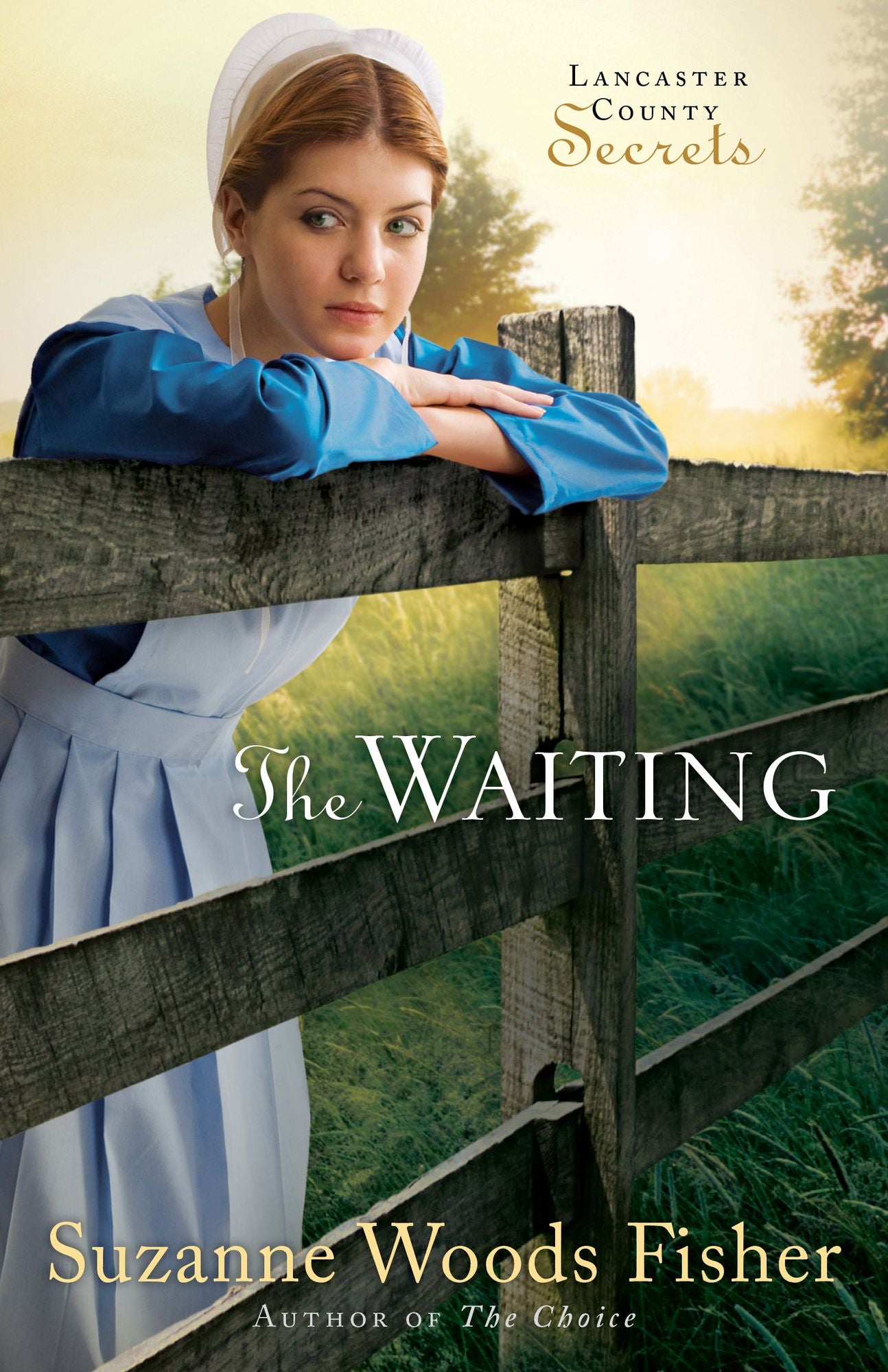 The Waiting (Lancaster County Secrets Series #2)