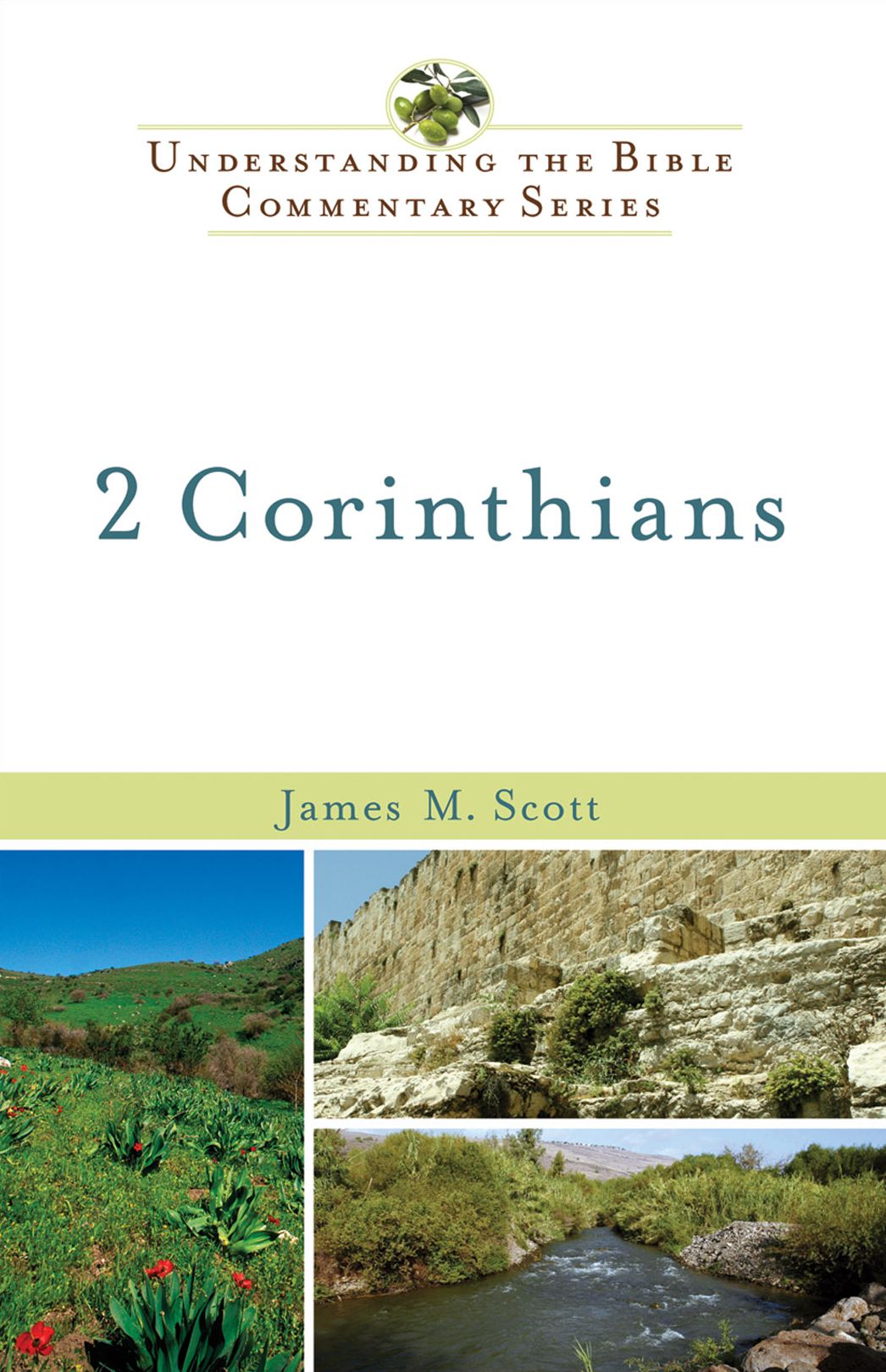 2 Corinthians (Understanding the Bible Commentary Series)