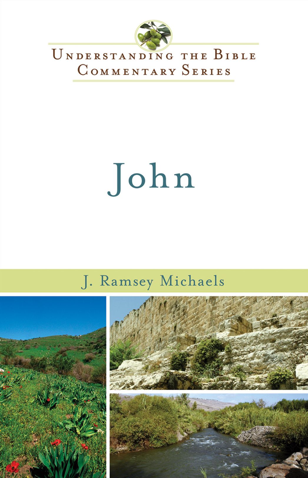 John (Understanding the Bible Commentary Series)