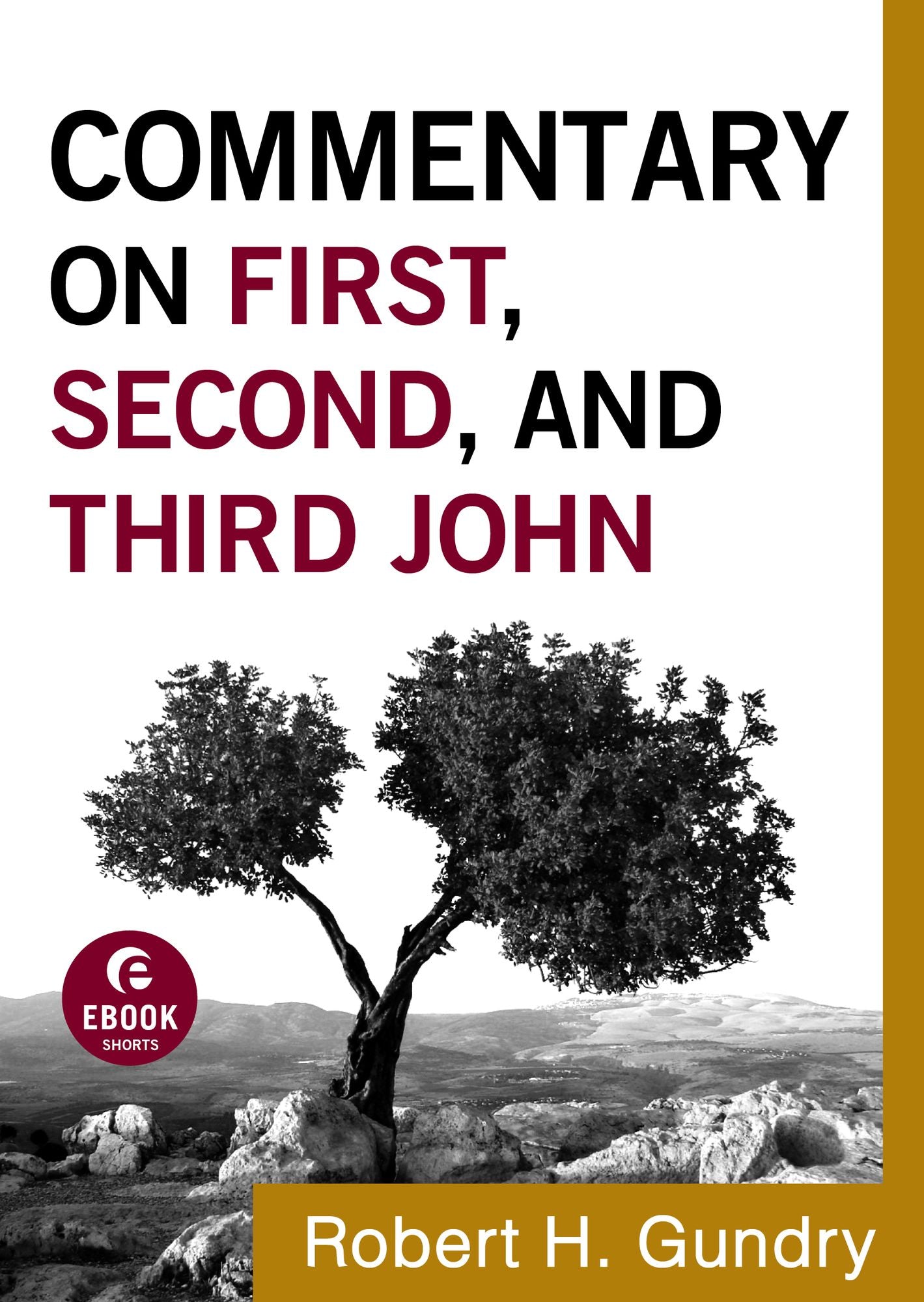 Commentary on First, Second, and Third John (Commentary on the New Testament Book #18)