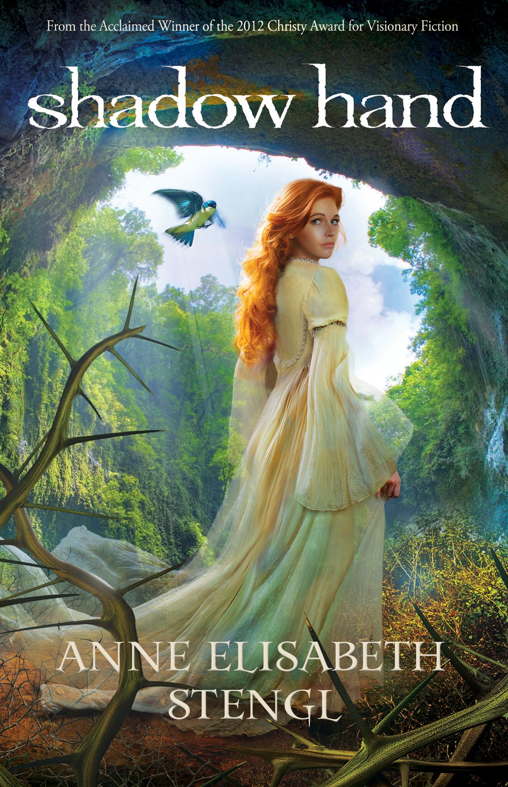 Shadow Hand (Tales of Goldstone Wood Series #6)