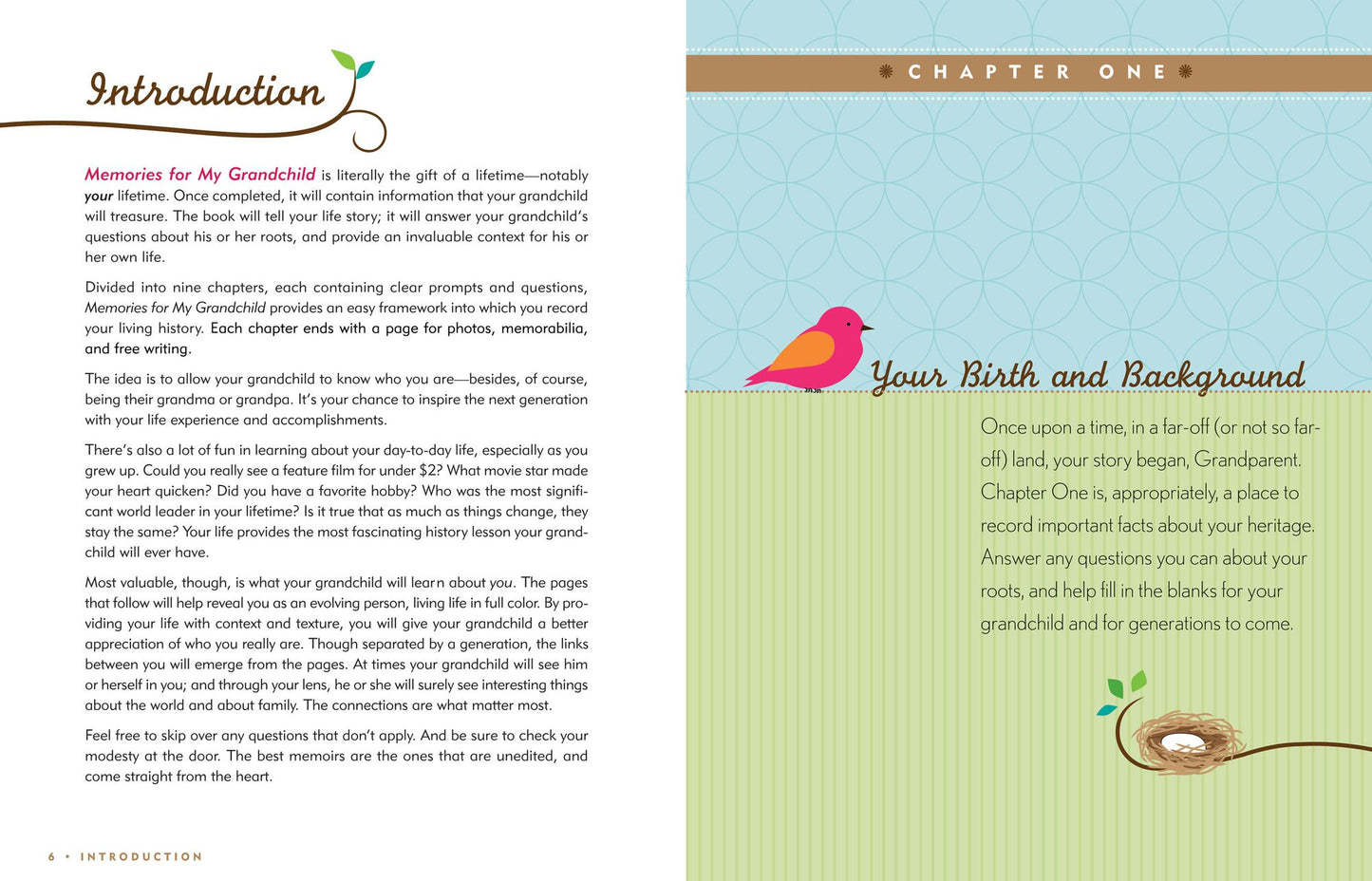 Memories for My Grandchild: A Keepsake to Remember