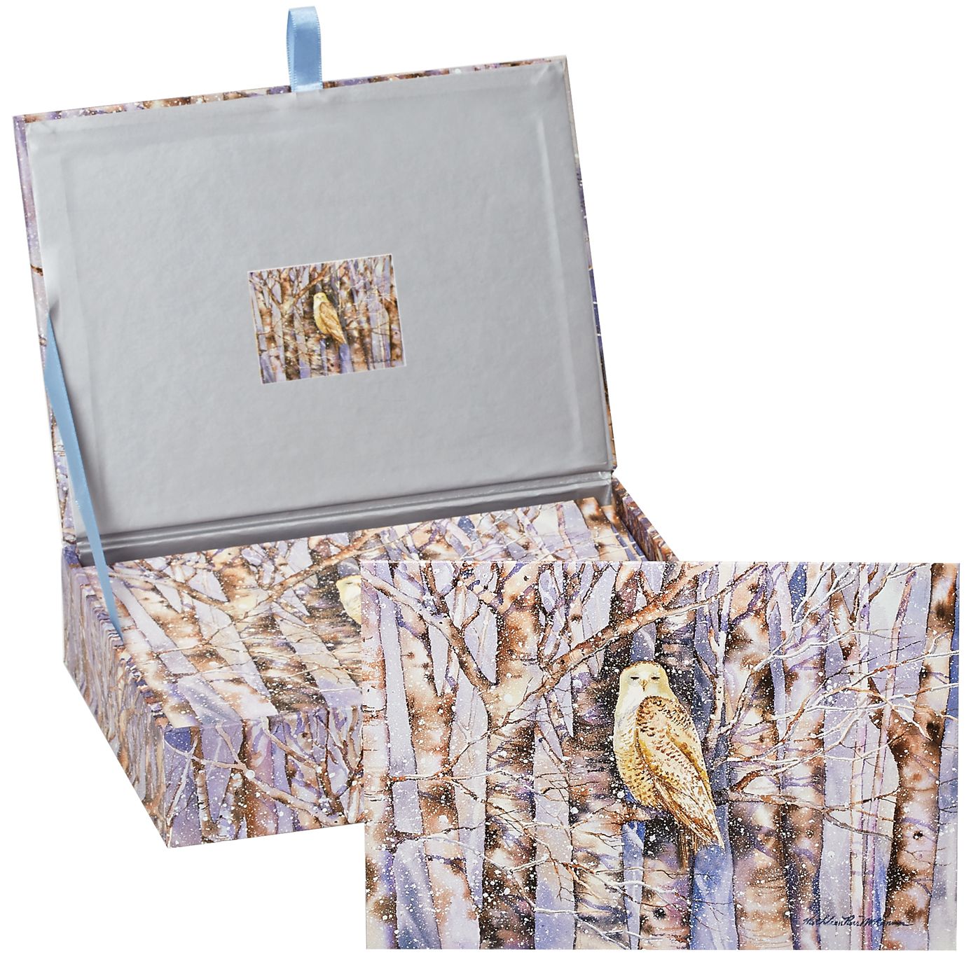 Snowy Owl Boxed Cards