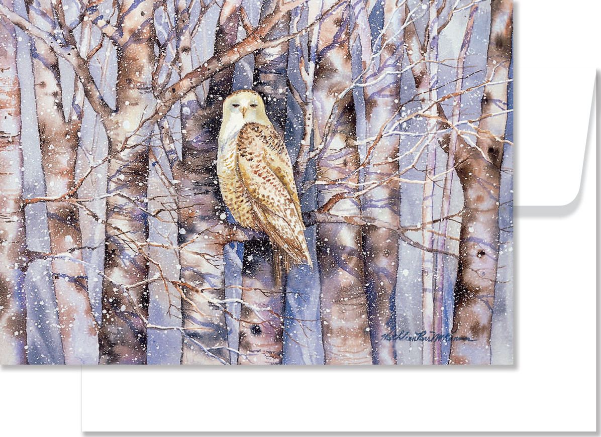 Snowy Owl Boxed Cards