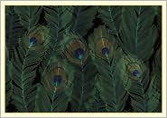 Peacock Feathers Boxed Note Card Set of 14