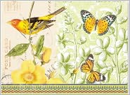 Bird Collage Note Cards Set of 14
