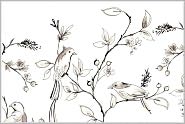 Bird Sketches Note Cards Set of 14