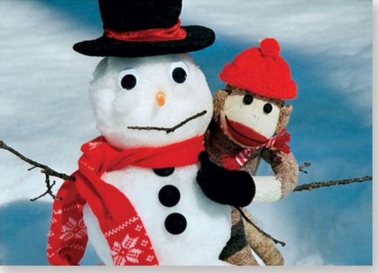 Winter Friends Christmas Boxed Card