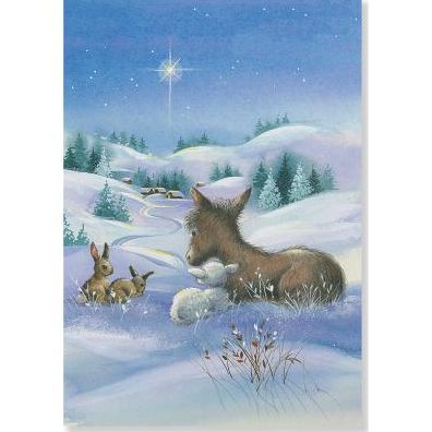 North Star Christmas Boxed Card