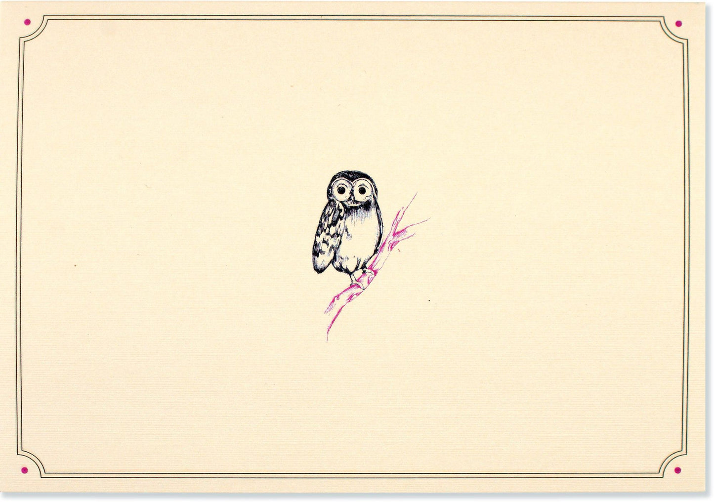 Owl Portrait Boxed Note Cards S/14