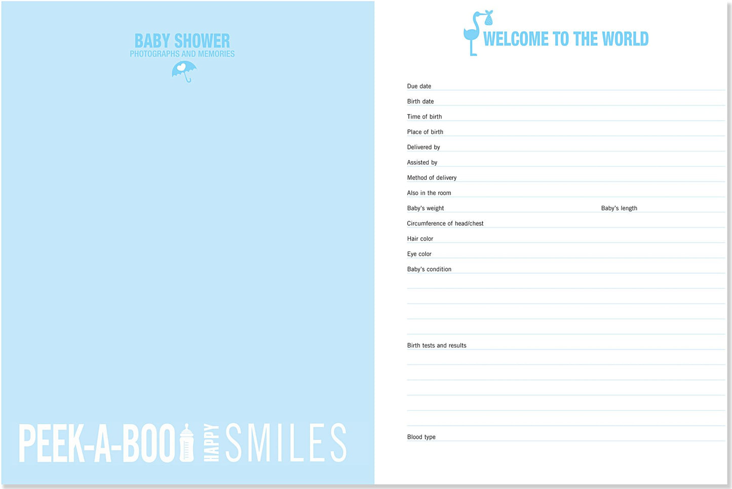 Baby Steps-Baby's First Year Album in Blue