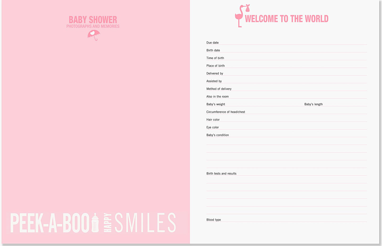 Baby Steps- Baby's First Year Album in Pink