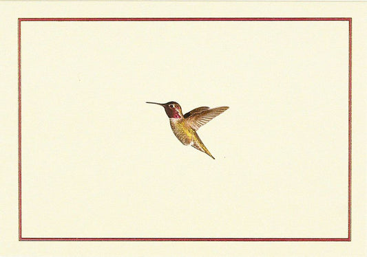 Hummingbird Flight Note Cards (Stationery, Boxed Cards)