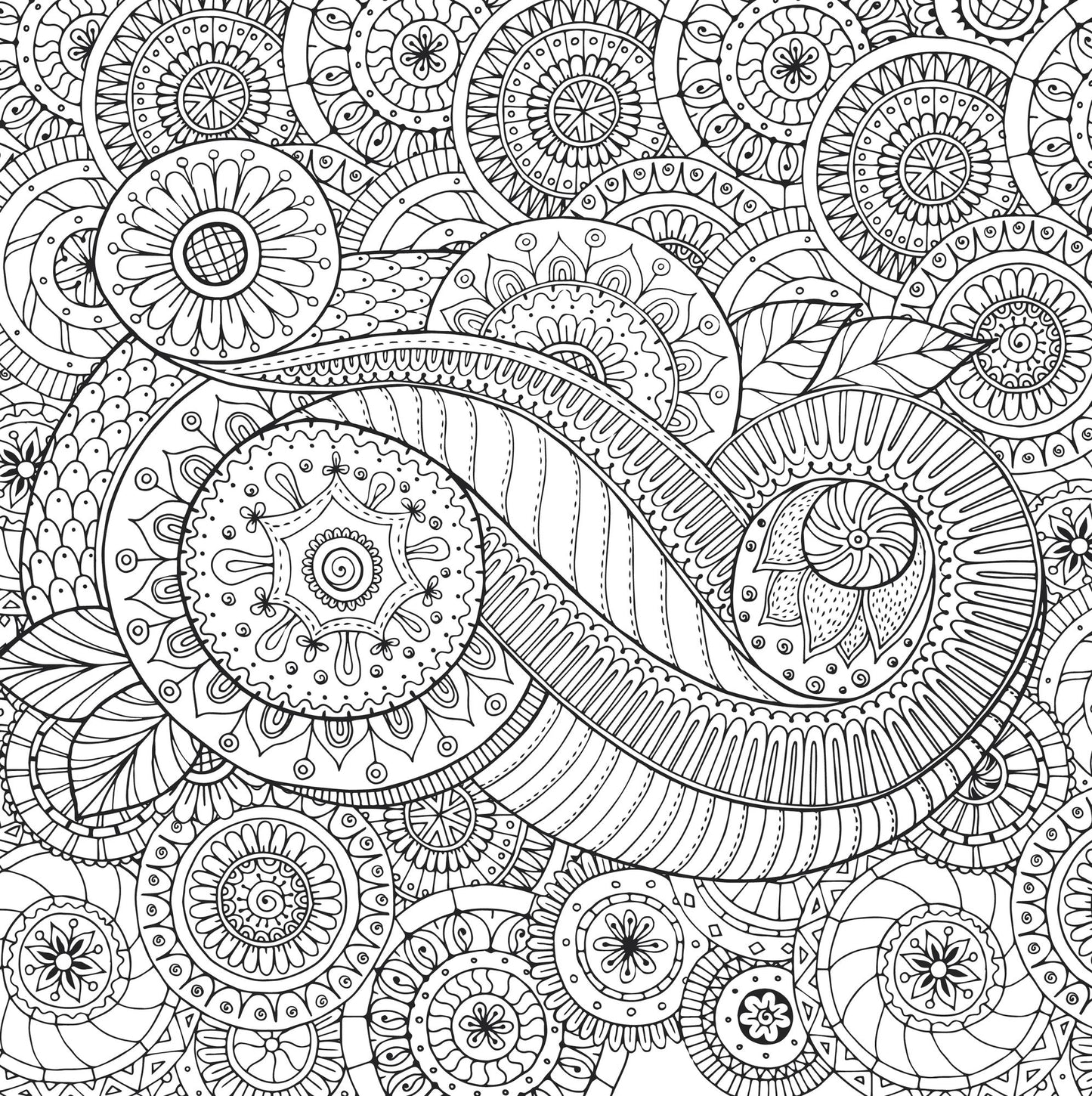 Peaceful Paisleys Design Artist's Coloring Book