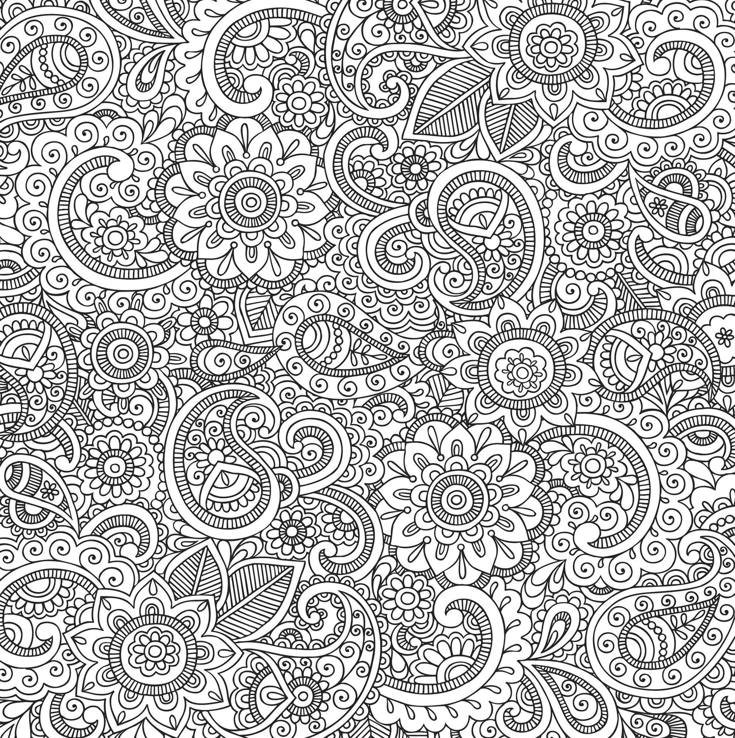 Peaceful Paisleys Design Artist's Coloring Book