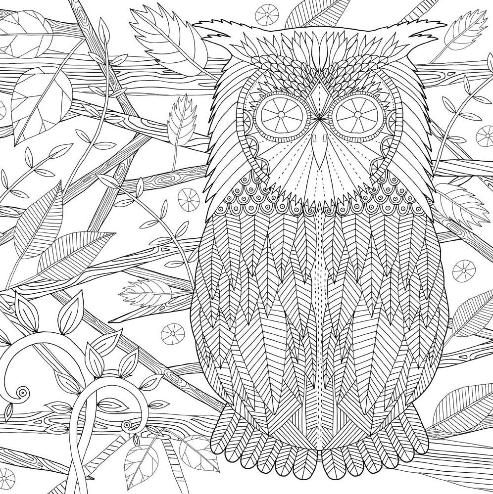 Believe in Yourself Artist's Coloring Book