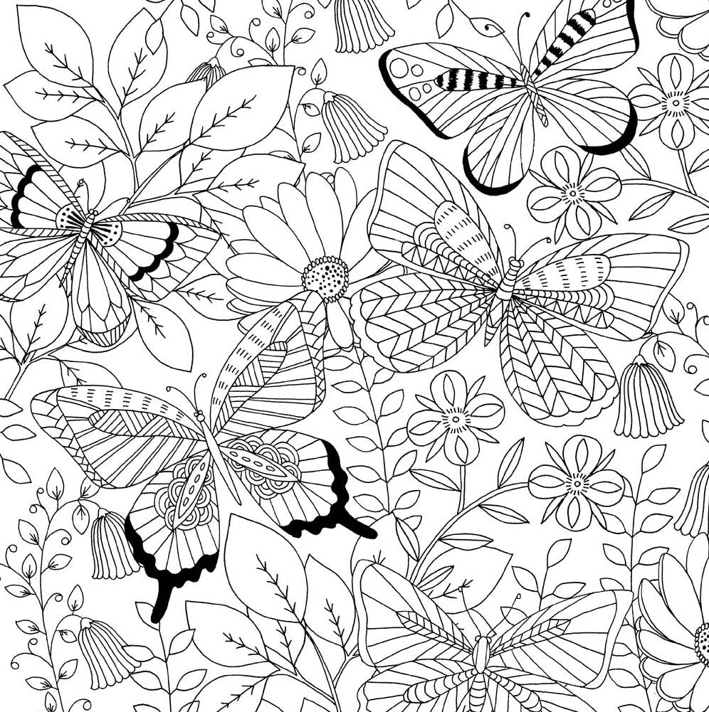 Follow Your Dreams Artist's Coloring Book