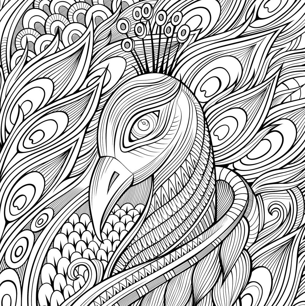 Wild Kingdom Artists' Coloring Book