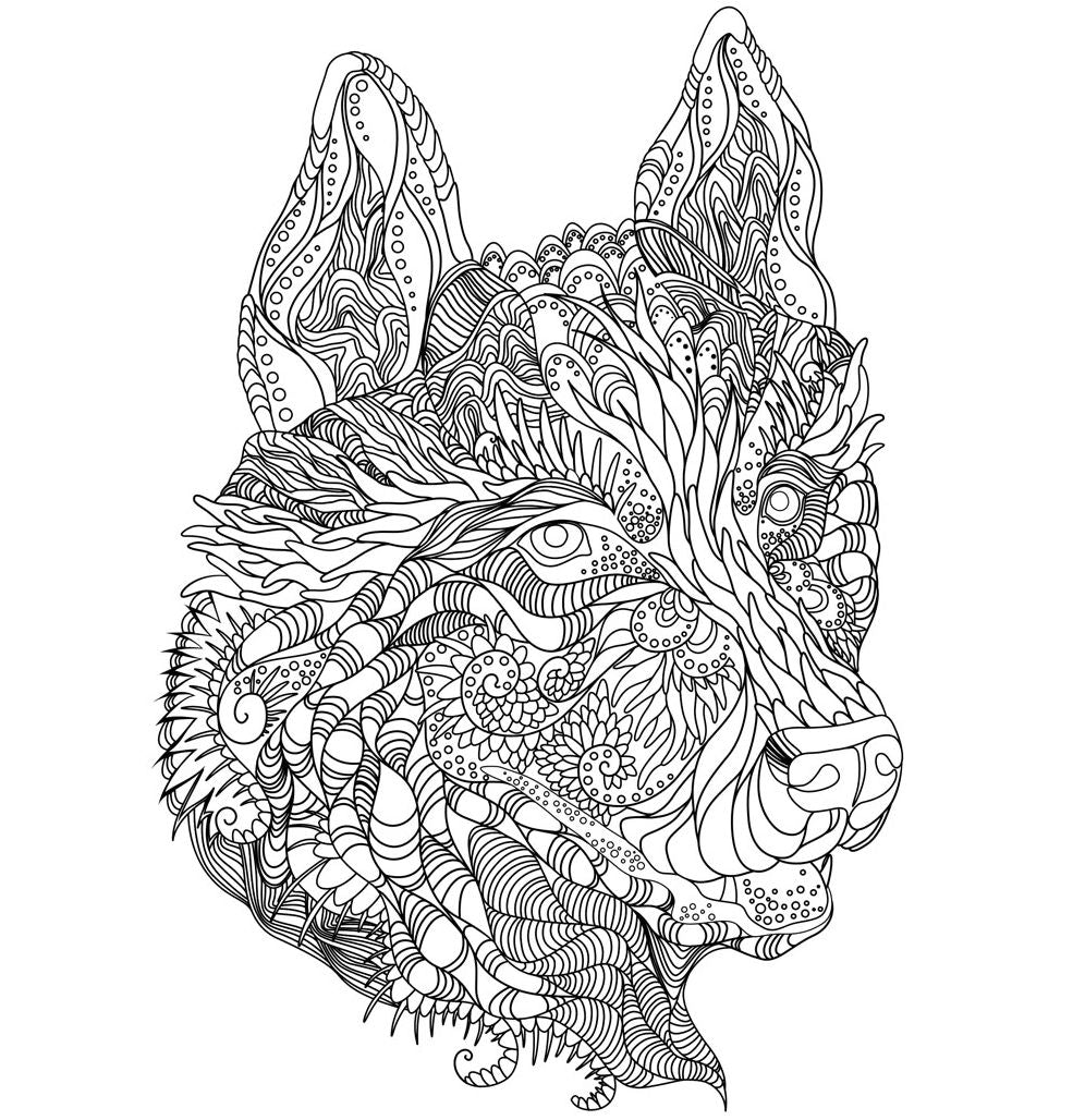 Wild Kingdom Artists' Coloring Book