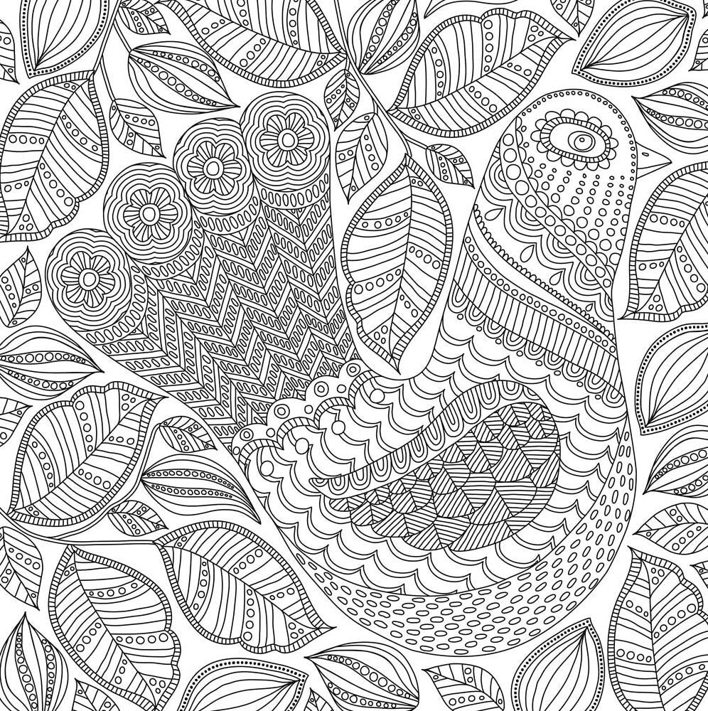 Blooms, Birds and Butterflies Artists' Coloring Book