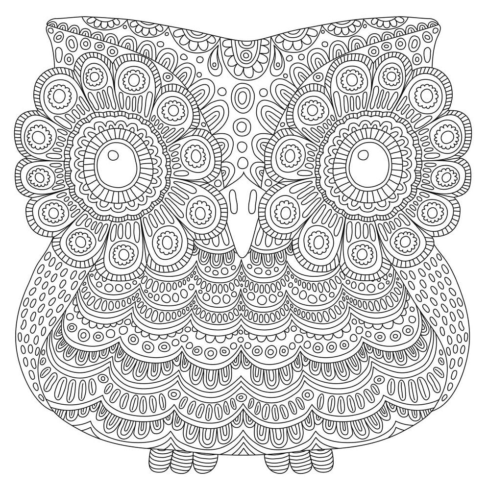 Blooms, Birds and Butterflies Artists' Coloring Book