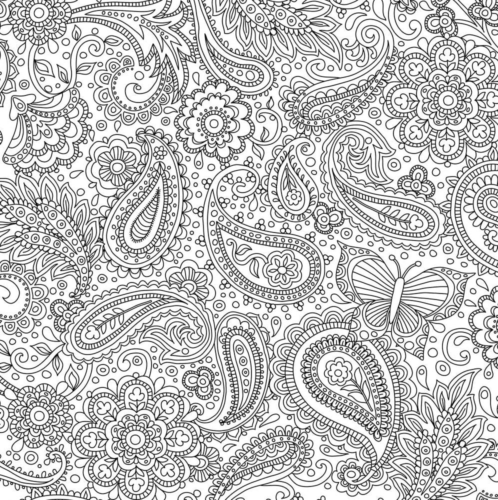 Blooms, Birds and Butterflies Artists' Coloring Book