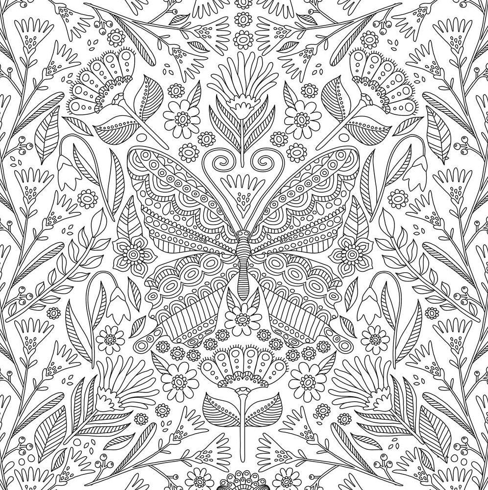 Blooms, Birds and Butterflies Artists' Coloring Book