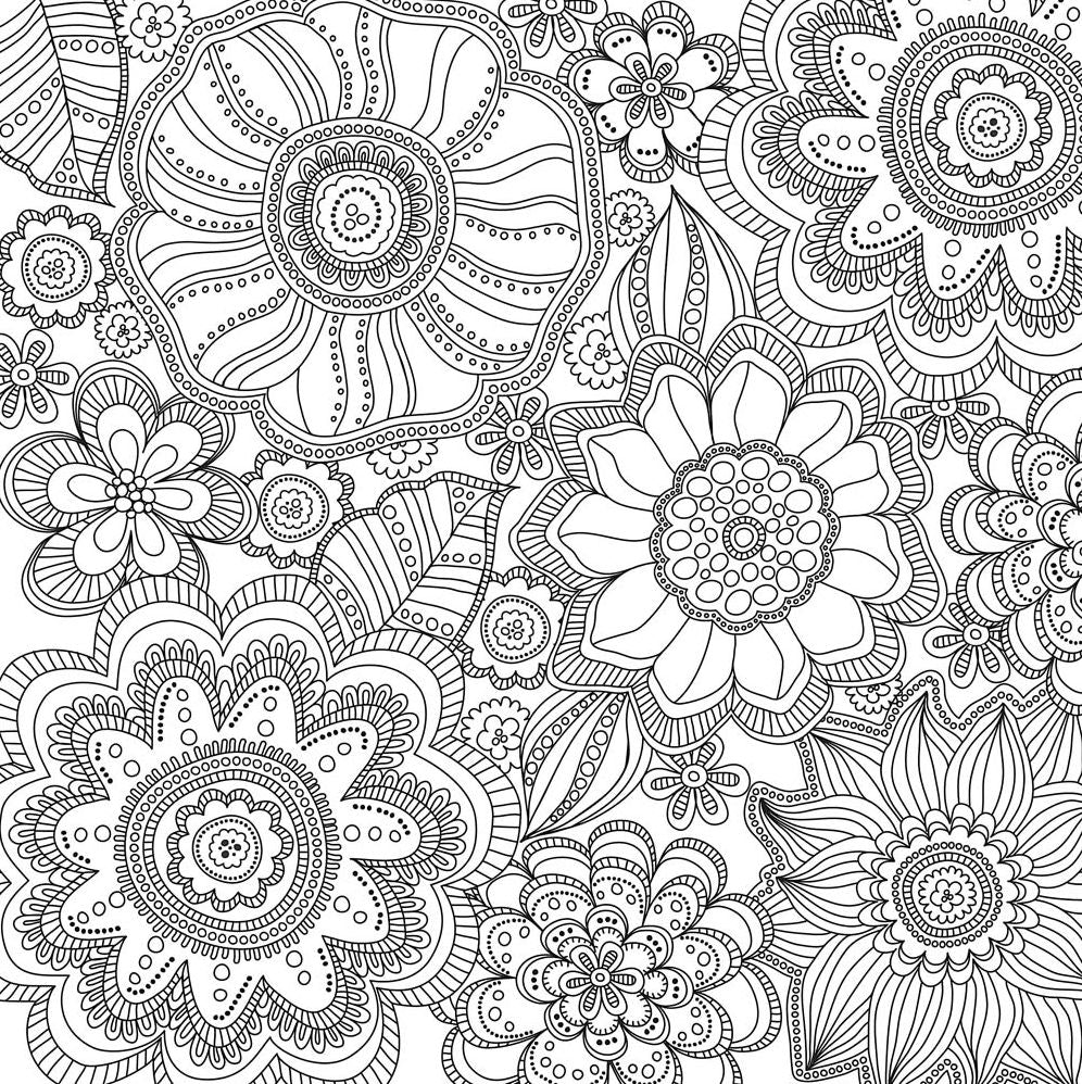 Blooms, Birds and Butterflies Artists' Coloring Book