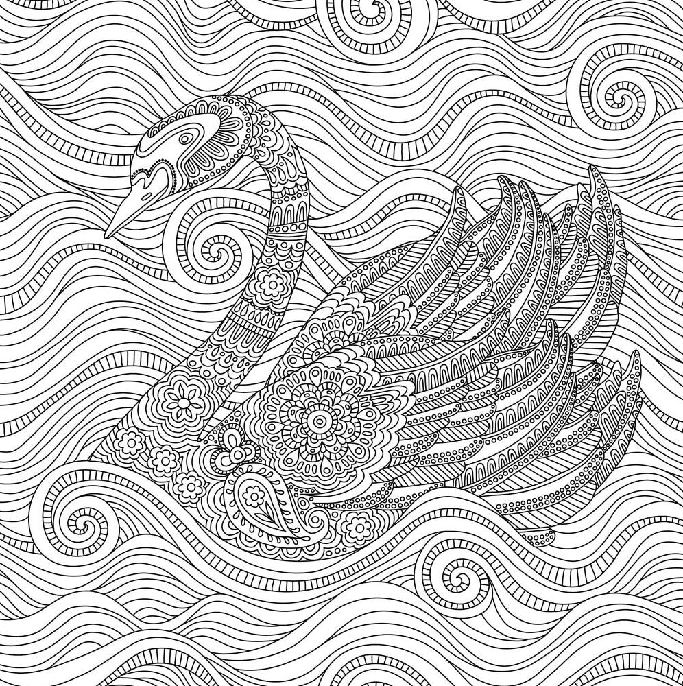 Blooms, Birds and Butterflies Artists' Coloring Book