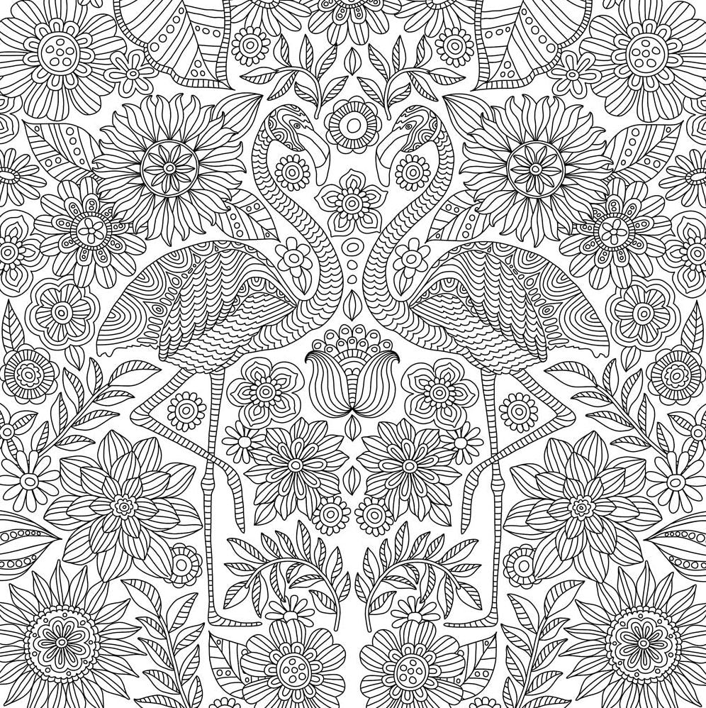 Blooms, Birds and Butterflies Artists' Coloring Book