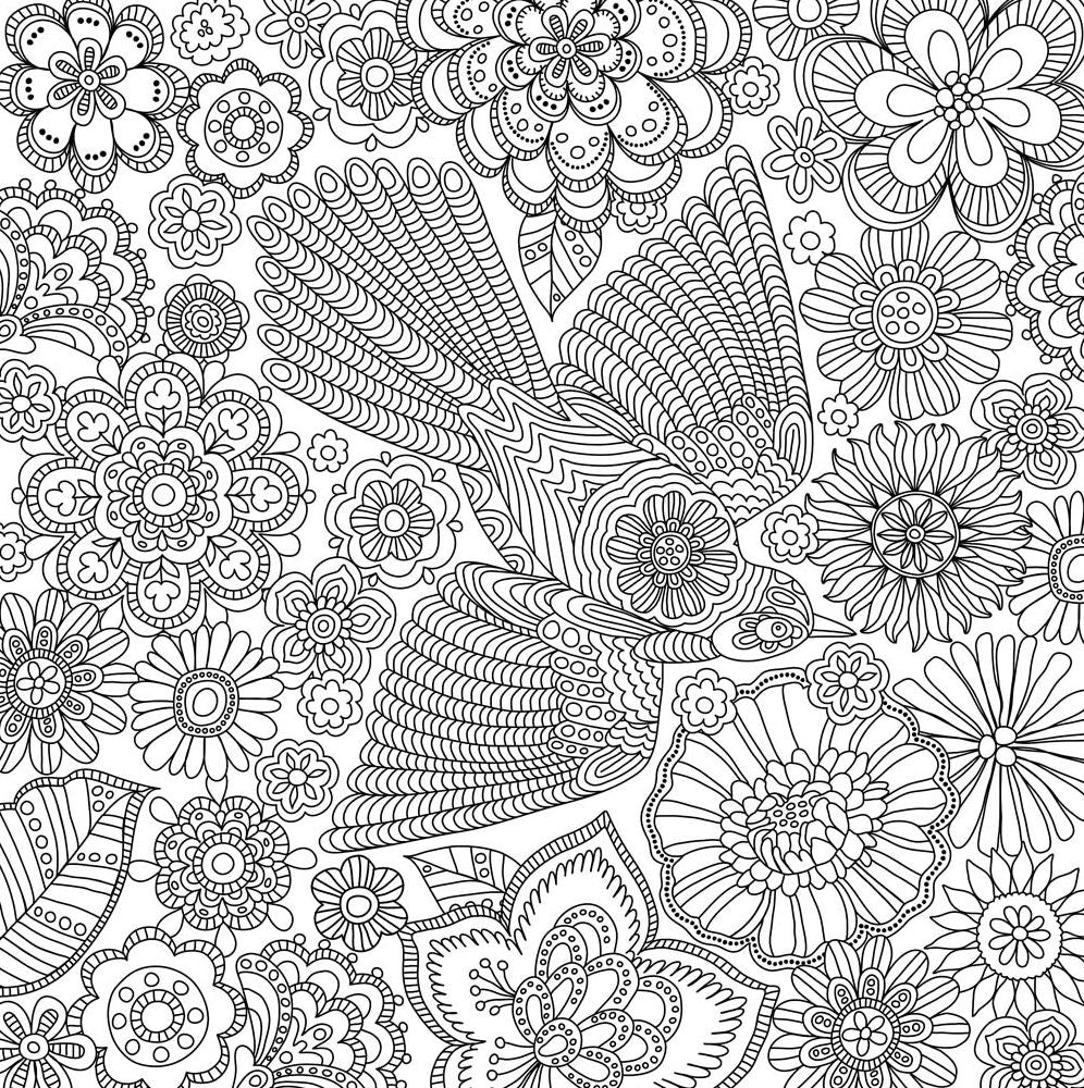 Blooms, Birds and Butterflies Artists' Coloring Book
