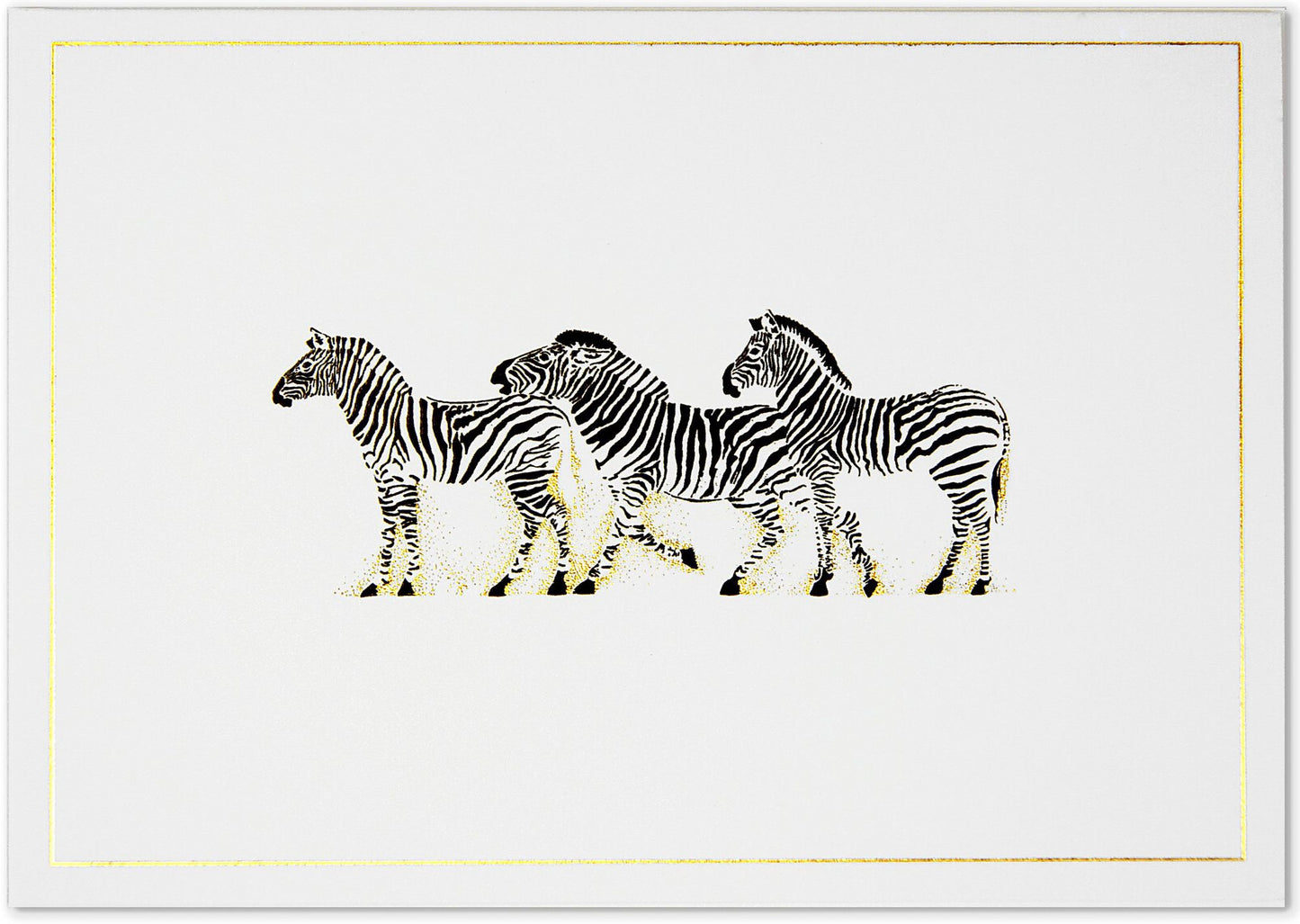 Zebra Boxed Note Card Set of 14