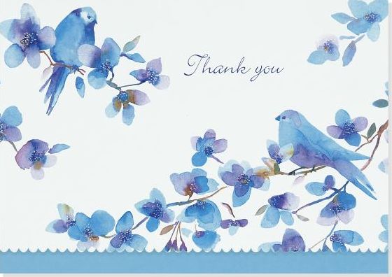 Bluebirds Thank You Boxed Note Card Set of 14