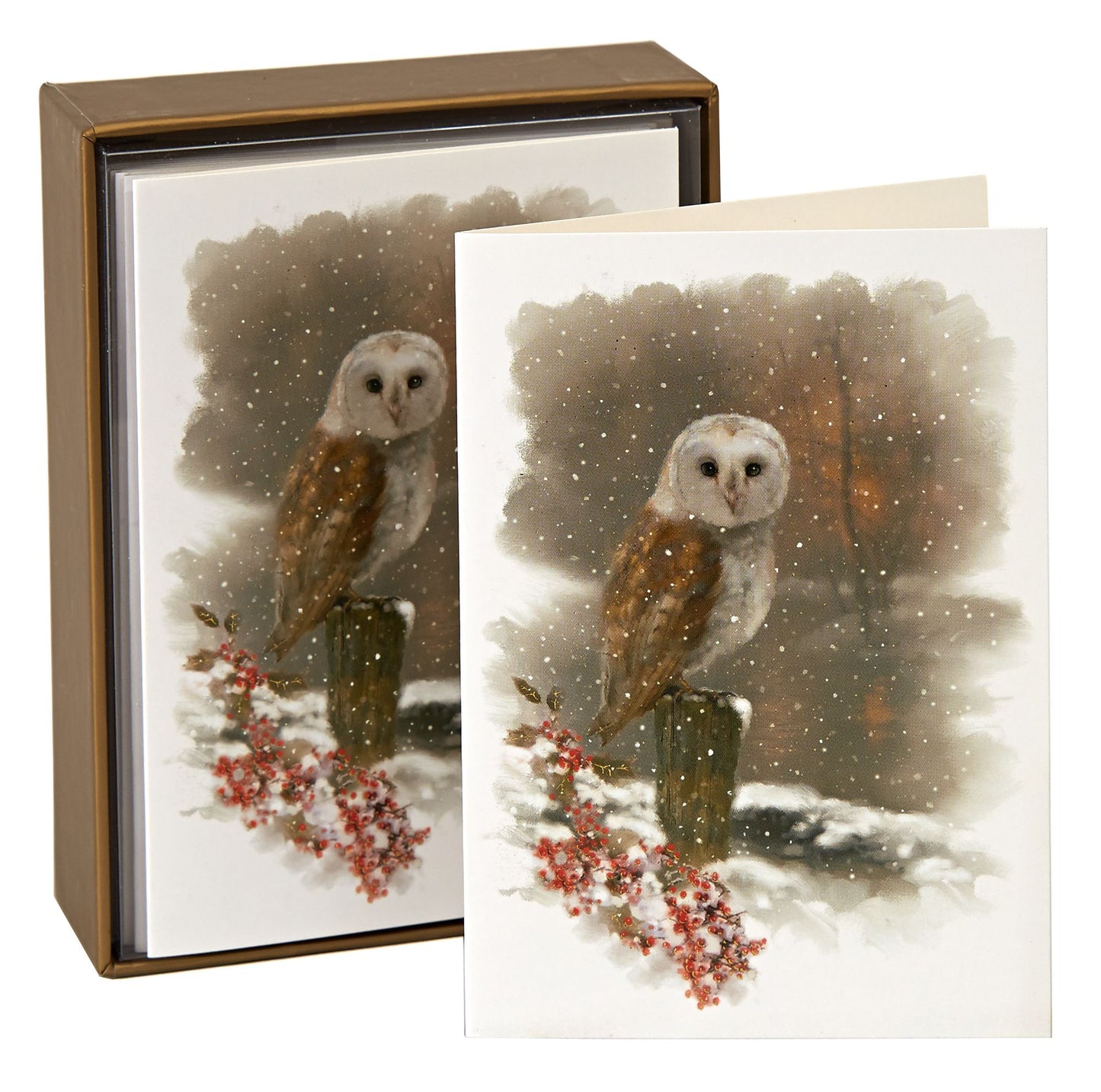 Winter Owl Christmas Boxed Card