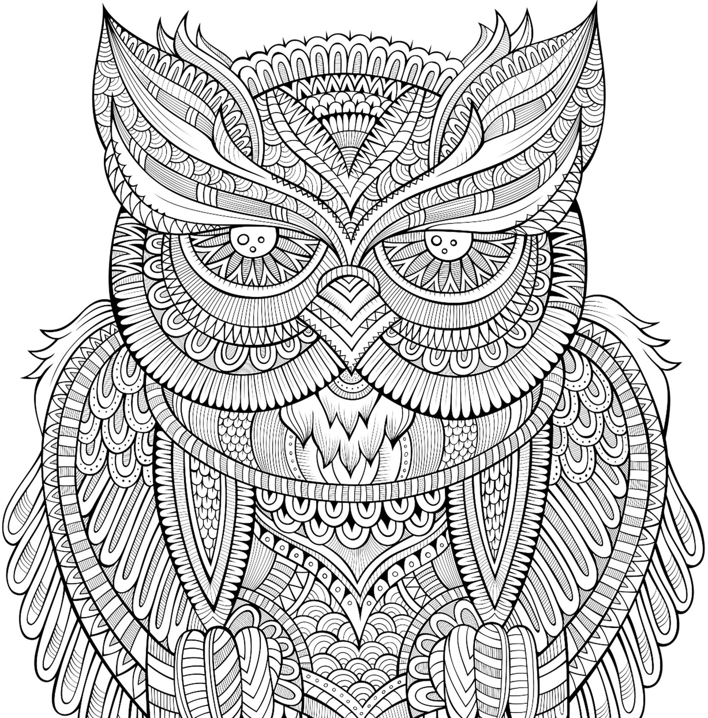 Owl Town Artist's Coloring Book